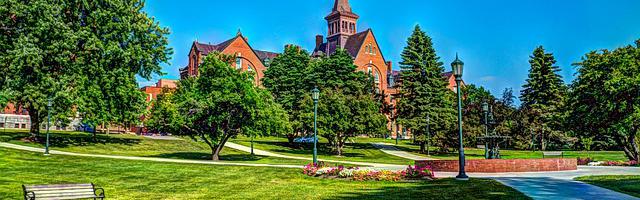 上門龍婿葉辰蕭初然_第2872章 但是、但是……