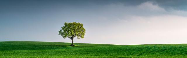 上門龍婿葉辰蕭初然_第3211章 這哥們還不夠老