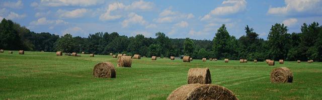 上門龍婿葉辰蕭初然_第1156章 起一卦