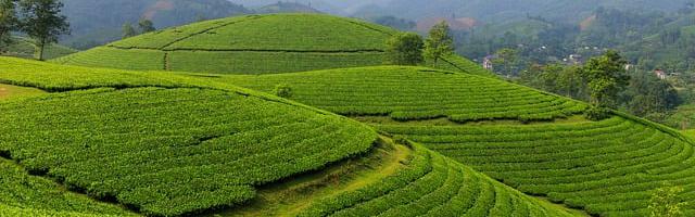 上門龍婿葉辰蕭初然_第2239章 狗都不如