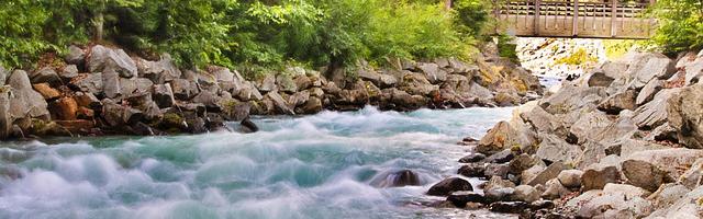 上門龍婿葉辰蕭初然_第3159章 社會是一個巨大的食物鏈