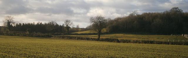 上門龍婿葉辰蕭初然_第441章 好女婿你一定要幫我