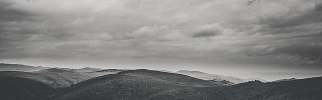 上門龍婿葉辰蕭初然_第3216章 畫餅