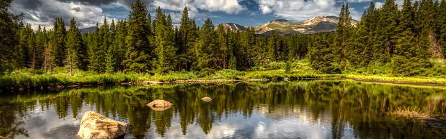 上門龍婿葉辰蕭初然_第463章 一起敘敘舊