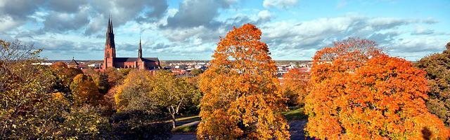 上門龍婿葉辰蕭初然_第658章 回來一塊辦婚禮