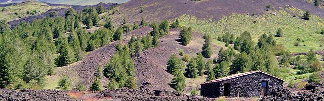 上門龍婿葉辰蕭初然_第105章 動手