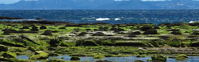 上門龍婿葉辰蕭初然_第1417章 親手打破人設