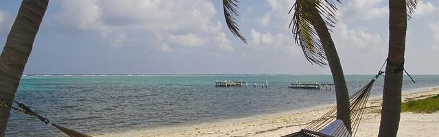 上門龍婿葉辰蕭初然_第2371章 抽絲剝繭