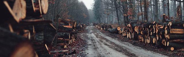 上門龍婿葉辰蕭初然_第65章 葉大師出手