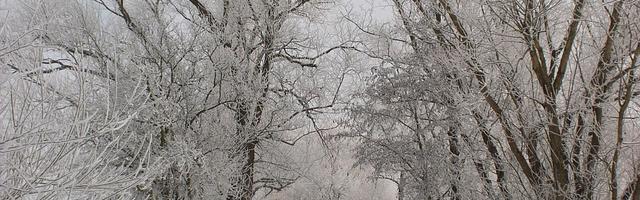 上門龍婿葉辰蕭初然_第3080章 瘋狂輸出