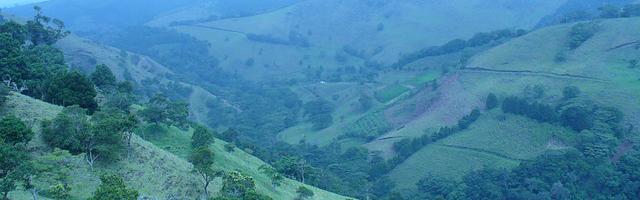 上門龍婿葉辰蕭初然_第742章 全力以赴！