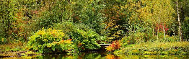 上門龍婿葉辰蕭初然_第220章 你可以改姓裝