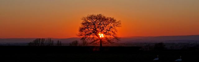 上門龍婿葉辰蕭初然_第187章 叫爺爺！