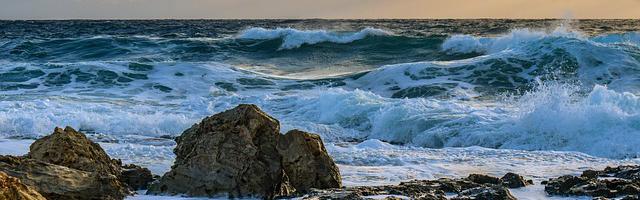 上門龍婿葉辰蕭初然_第177章 蕭家要完了