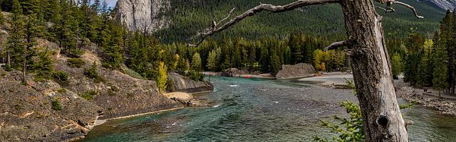 上門龍婿葉辰蕭初然_第2620章 葉辰的用意