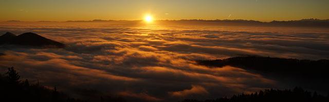 上門龍婿葉辰蕭初然_第2132章 全都怪我！