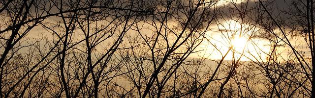 上門龍婿葉辰蕭初然_第3224章 衛星計劃