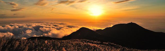 上門龍婿葉辰蕭初然_第713章 寶貴的訊息