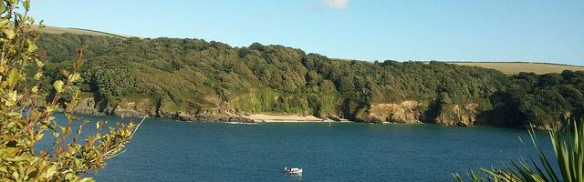 上門龍婿葉辰蕭初然_第1869章 公天鵝吃母天鵝