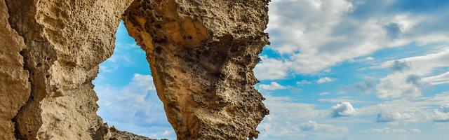 都市神醫葉辰很囂張_第12311章 四神獸（三合一）