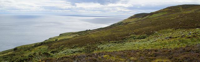 上門龍婿葉辰蕭初然_第3242章 大換血