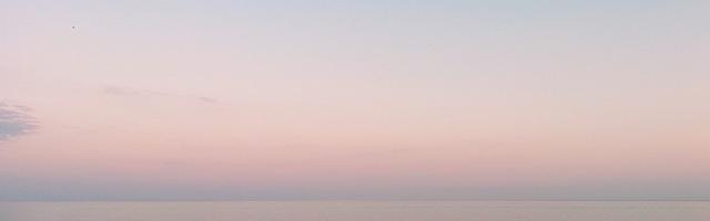 上門龍婿葉辰蕭初然_第641章 醋意十足