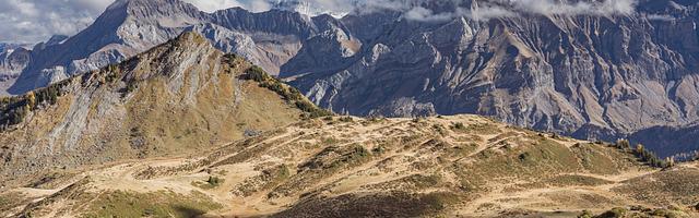 上門龍婿葉辰蕭初然_第1003章 用慈善的方式合作