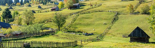 上門龍婿葉辰蕭初然_第2859章 是幻覺