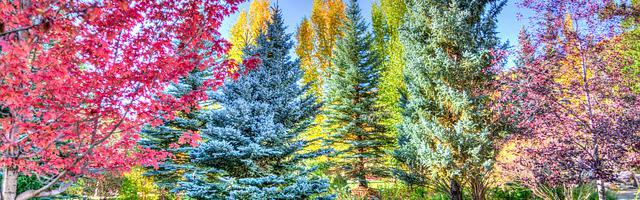 上門龍婿葉辰蕭初然_第2939章 請你無論如何都要救救我