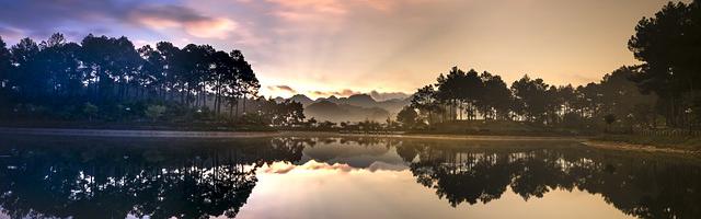 上門龍婿葉辰蕭初然_第2972章 順利出境