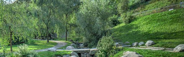 上門龍婿葉辰蕭初然_第158章 早就想打你了