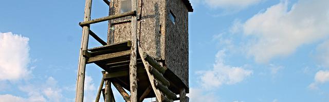 上門龍婿葉辰蕭初然_第2742章 有危險！