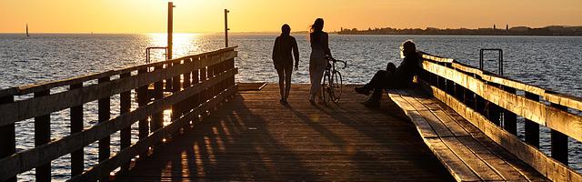 上門龍婿葉辰蕭初然_第2113章 給兩位貴客安排上