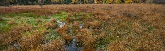 上門龍婿葉辰蕭初然_第2681章 視死如歸