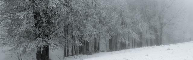 上門龍婿葉辰蕭初然_第76章 推平天豪建材集團！