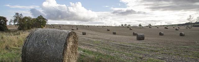 上門龍婿葉辰蕭初然_第789章 放棄抵抗