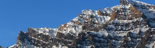 上門龍婿葉辰蕭初然_第458章 馬嵐，你太讓我失望了