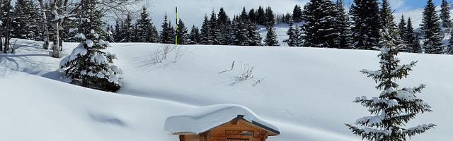 上門龍婿葉辰蕭初然_第200章 高俊偉的真面目！