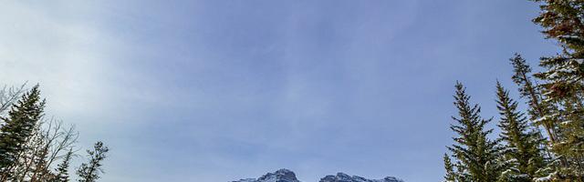 都市神醫葉辰很囂張_第12311章 四神獸（三合一）