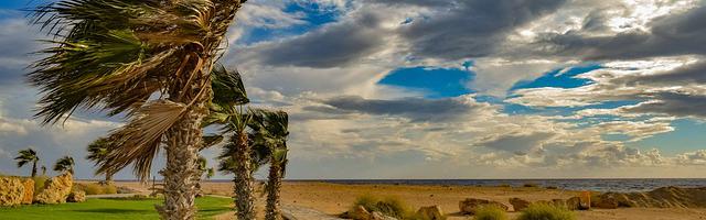 上門龍婿葉辰蕭初然_第356章 蕭常坤請客