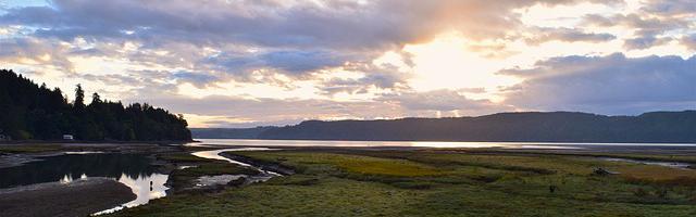 上門龍婿葉辰蕭初然_第20章 有請葉董事長