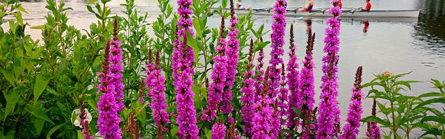 上門龍婿葉辰蕭初然_第3171章 把蕭常坤撈回來