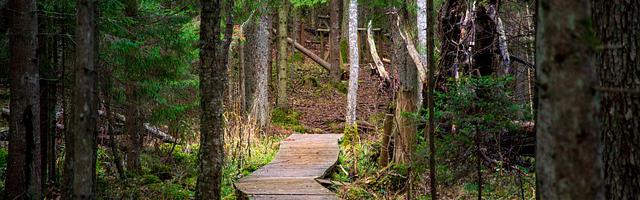 上門龍婿葉辰蕭初然_第2503章 無懈可擊