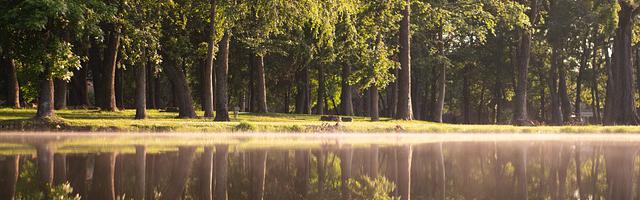 上門龍婿葉辰蕭初然_第706章 有序退出戰場