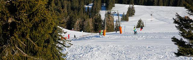 上門龍婿葉辰蕭初然_第750章 好飯不怕晚