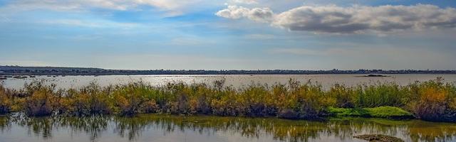 上門龍婿葉辰蕭初然_第3178章 最重要的血脈