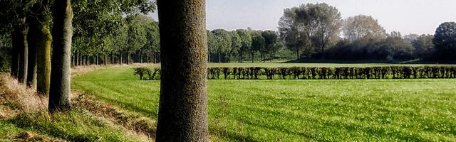 上門龍婿葉辰蕭初然_第113章 被鄙視了