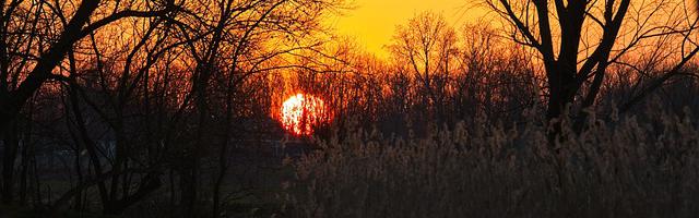 上門龍婿葉辰蕭初然_第633章 乘興而來，打臉而歸