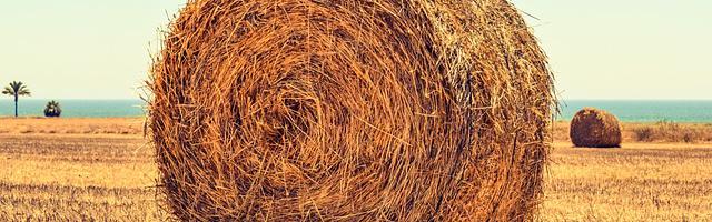 上門龍婿葉辰蕭初然_第3147章 事有蹊蹺二十年