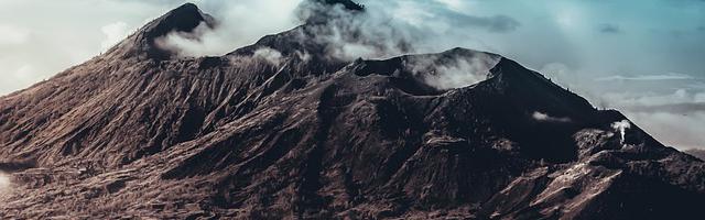 上門龍婿葉辰蕭初然_第339章 臥槽，無情！